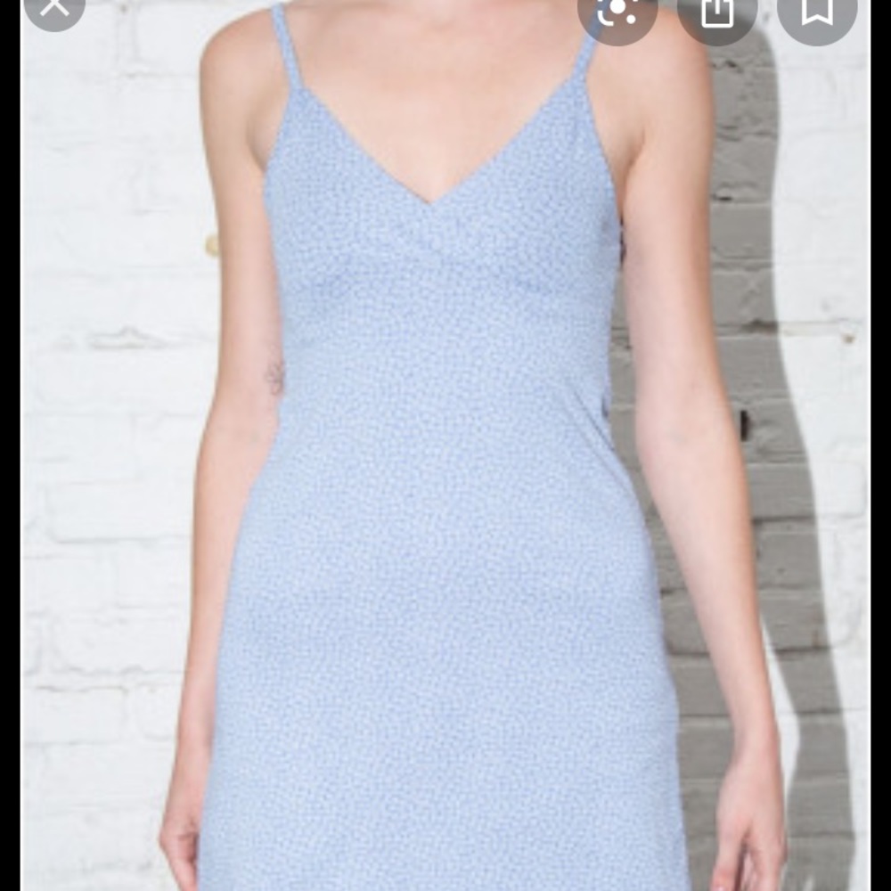 Brandy Melville Blue Flower Dress